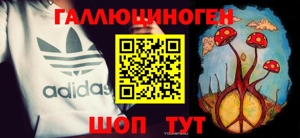 Донецк  Псилоцибиновые грибы Cubensis  Вход с VPN 
